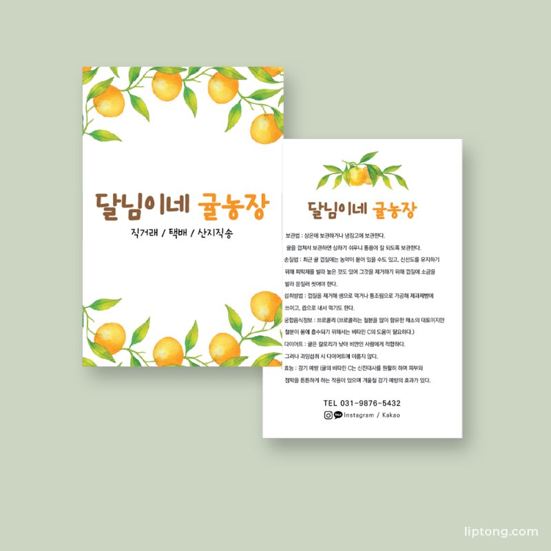J 151 귤 과일 야채 농장 엽서 안내 카드 제작 인쇄