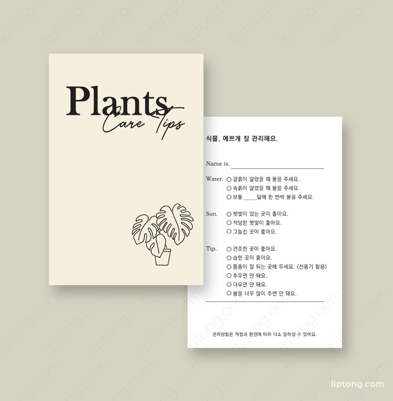 J 467 식물 설명서 꽃집  엽서 안내 카드 제작 인쇄