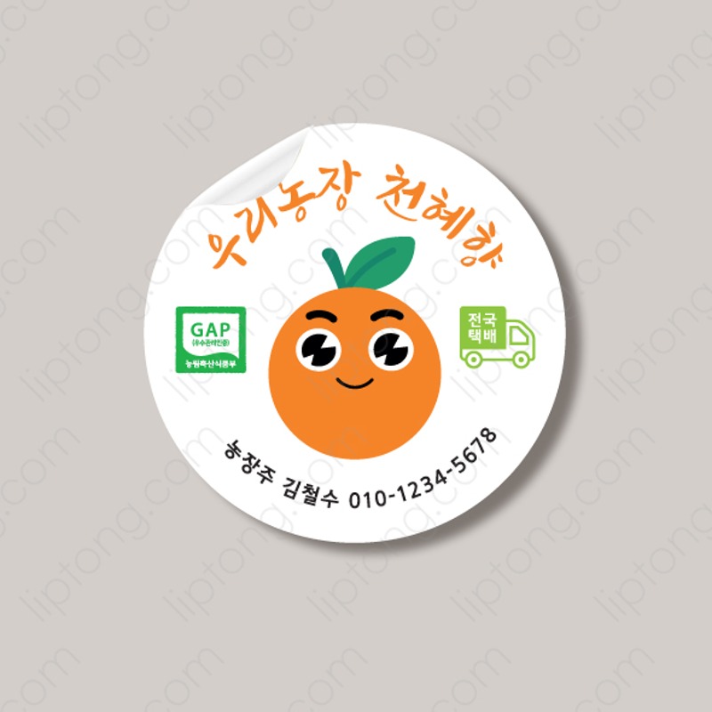 S 2286 천혜향 귤 오렌지 캐릭터 과일 야채  스티커