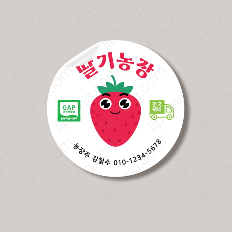 S 2287 딸기 캐릭터 과일 야채  스티커