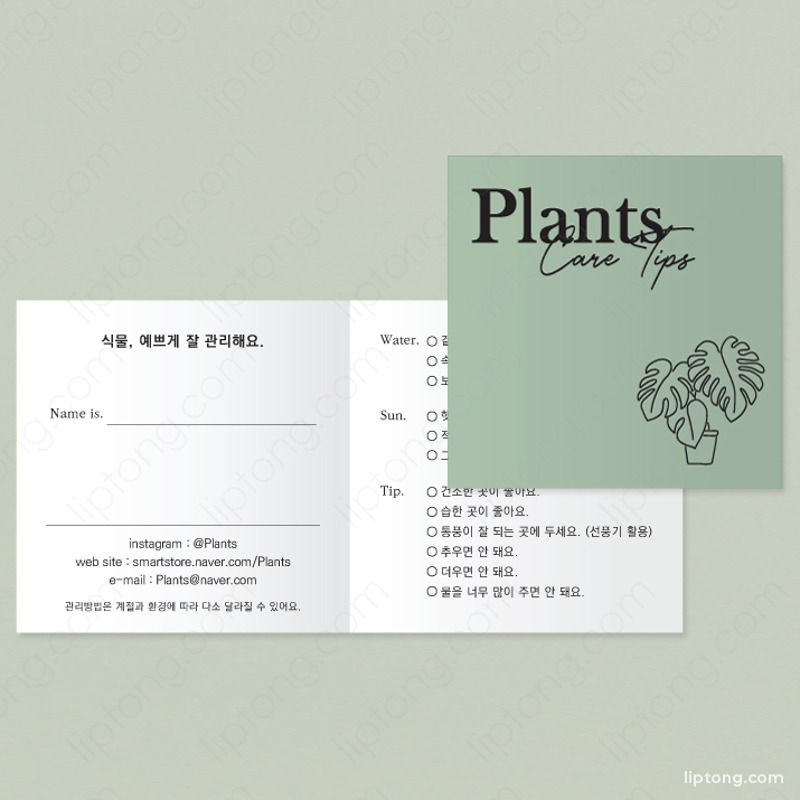 M 2171 꽃집 식물 관리방법  접이식 안내카드 제작