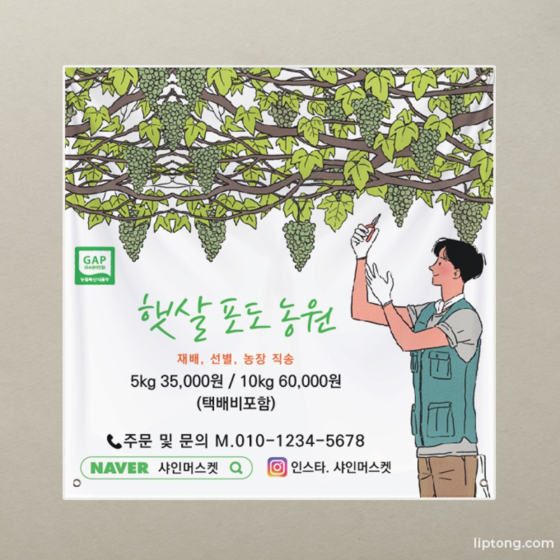 H247 샤인머스캣 청포도 농장 농산물 현수막 플랜카드 제작